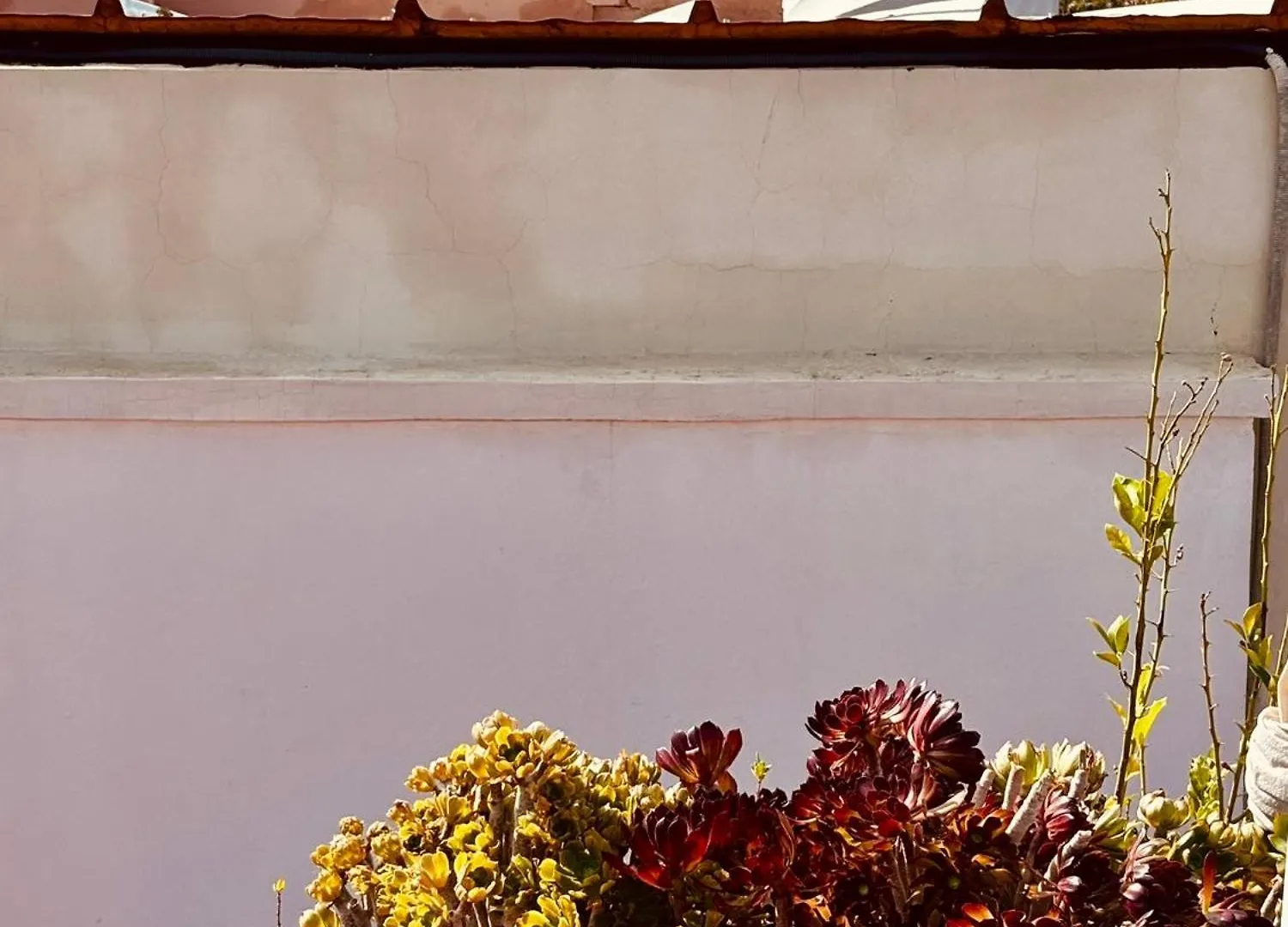 Riad La Cigale Marrakesh