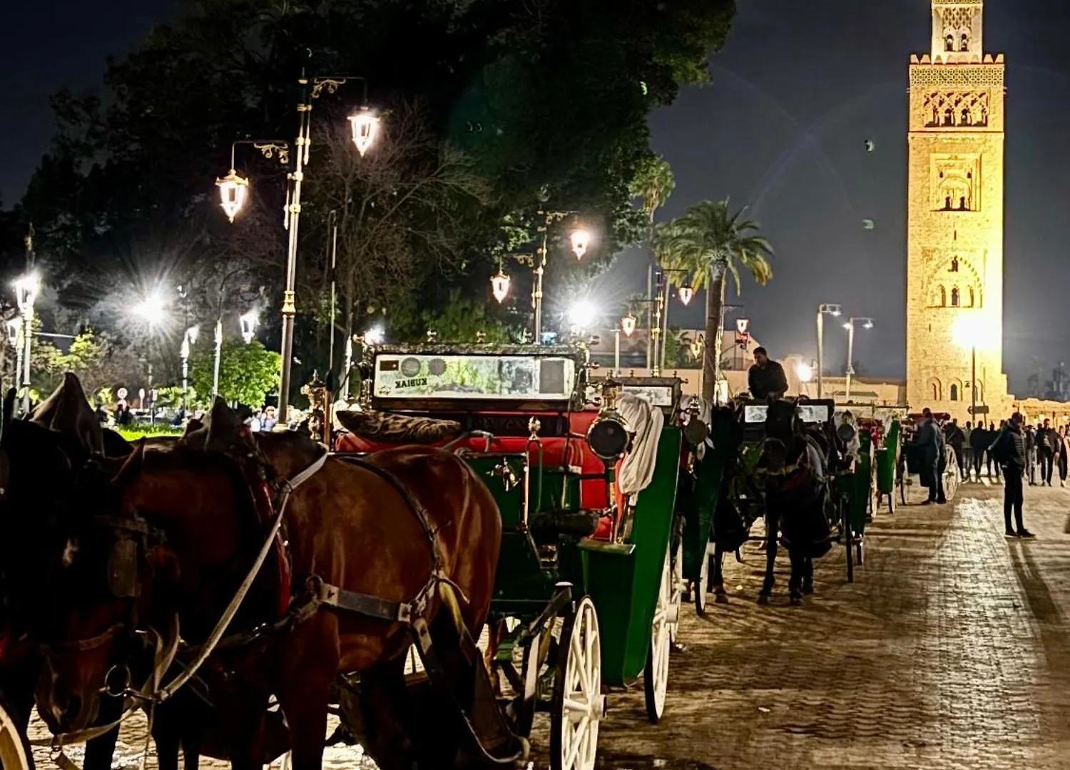 Riad La Cigale Marrakesh Maroc