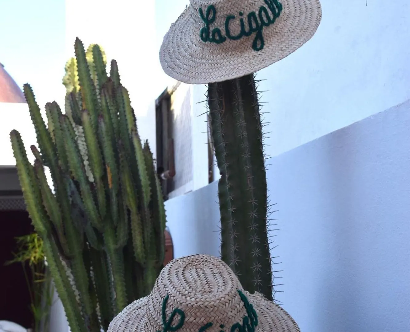 Riad La Cigale Marrakesh